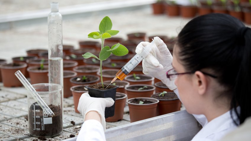 Biologist in white coat pouring liquid from syringe into flower pot with sprout in greenhouse.