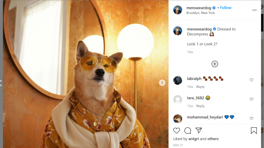 20 Pets That Make Millions For Their Owners Gobankingrates