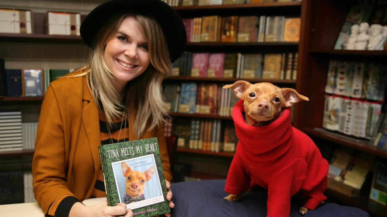 Mandatory Credit: Photo by Geoffrey Swaine/Shutterstock (5585914e)Courtney Dasher and Tuna The ChiweenieCourtney Dasher and Tuna the dog book signing, Oxford, Britain - 11 Feb 2016Courtney Dasher and Tuna the dog at Blackwells in Oxford to promote their book 'Tuna Melts My Heart'.
