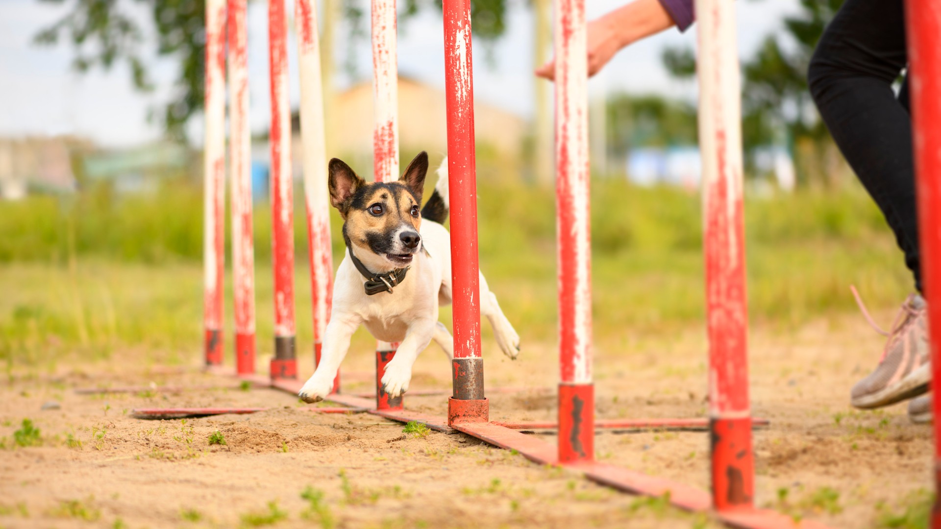 Hiring Growth for These 20 Jobs Has Exploded GOBankingRates