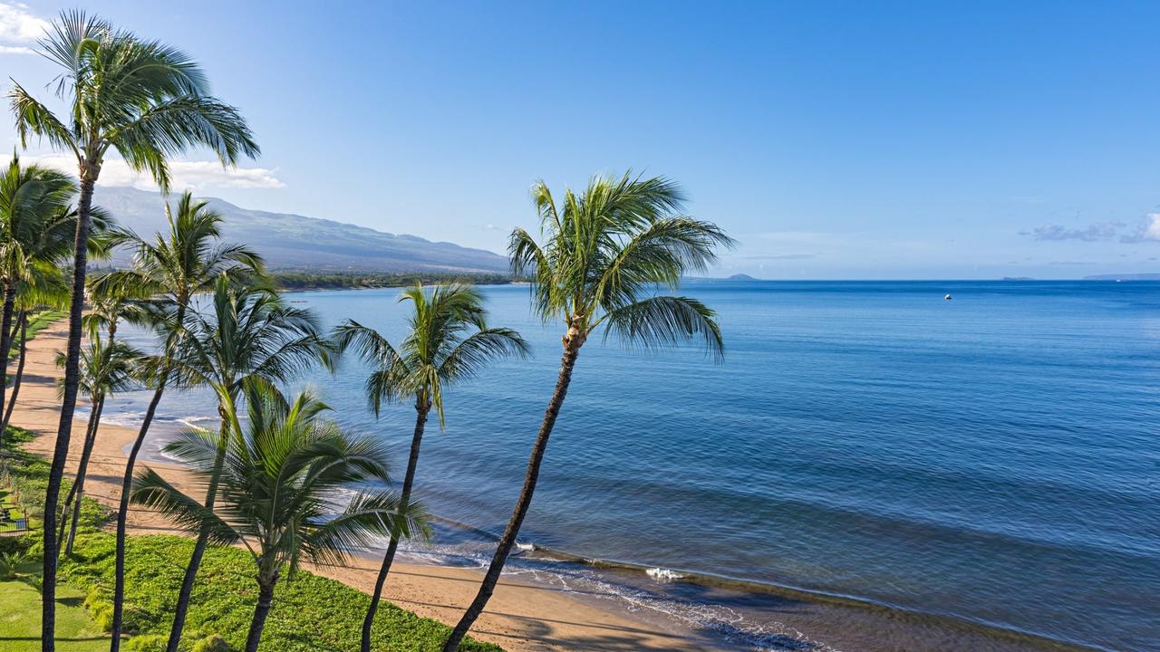 Beach and palms trees in the morning atSugar Beach Kihei Maui Hawaii USA.