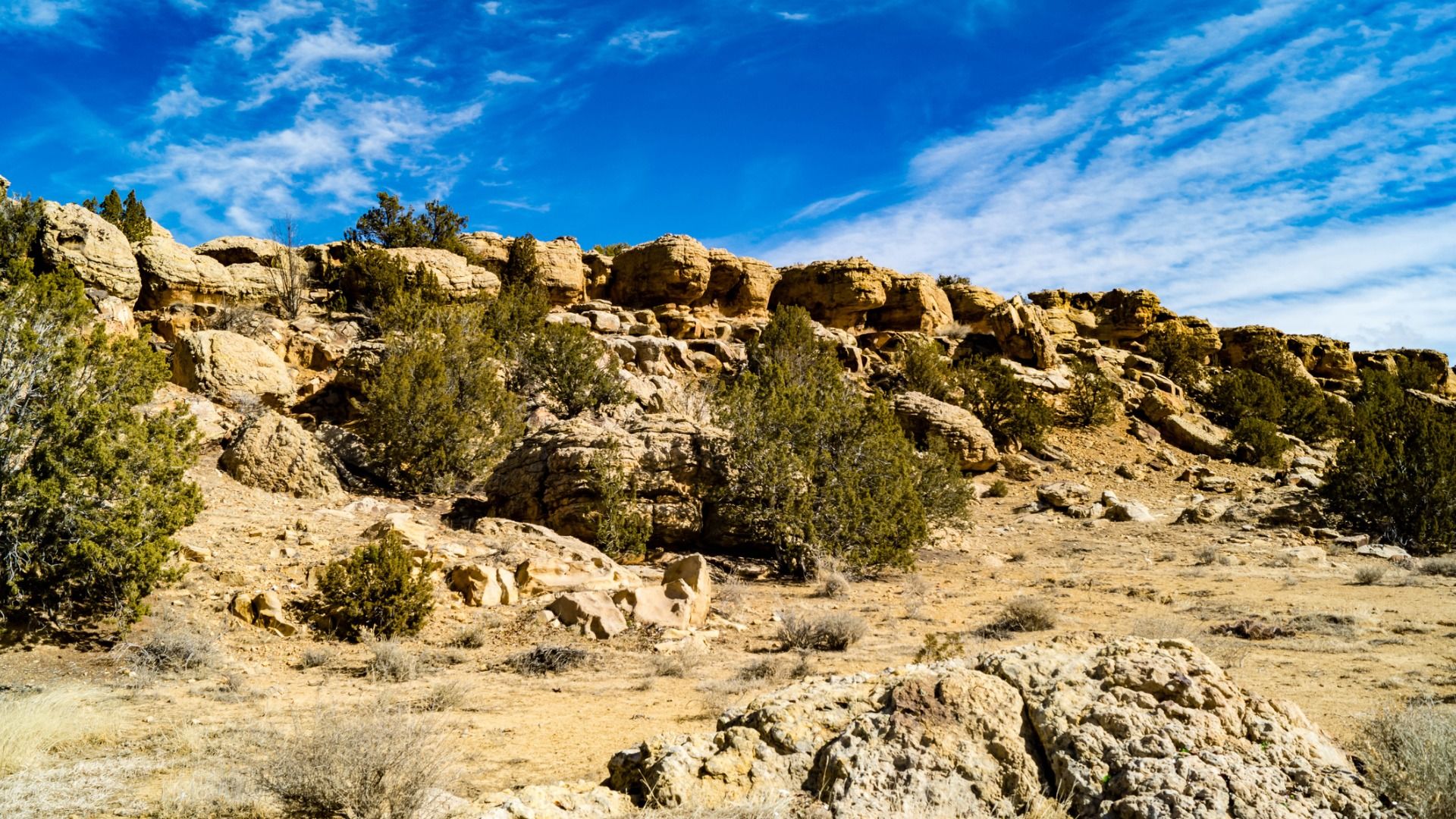 These People Own The Most Land In America 