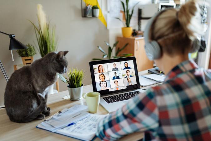 Portrait of modern woman at home teleconferencing with colleagues while cuddling her cat.