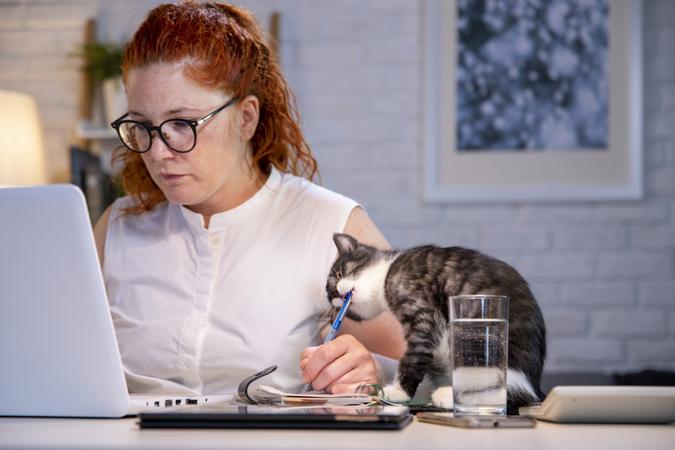 Woman with glasses sitting behind home office desk her cat is biting her pen while she works.