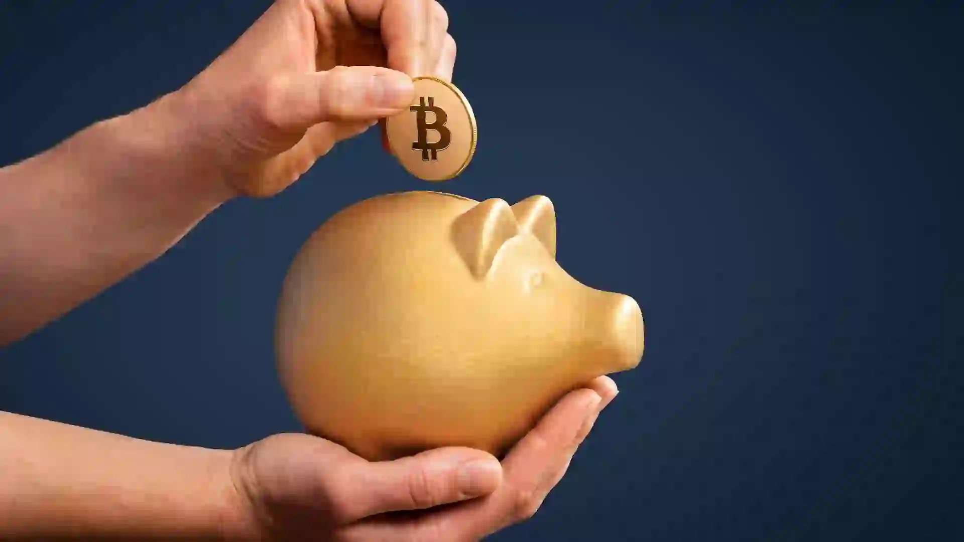 Bitcoin Transaction Fees: A Full Guide and How To Save
