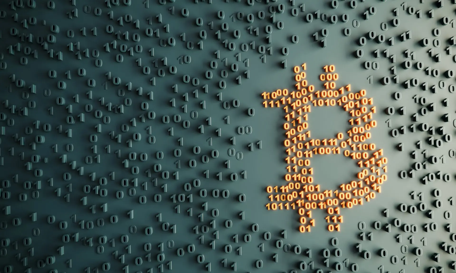 Crypto Financial Lingo to Sound Like an Investing Expert