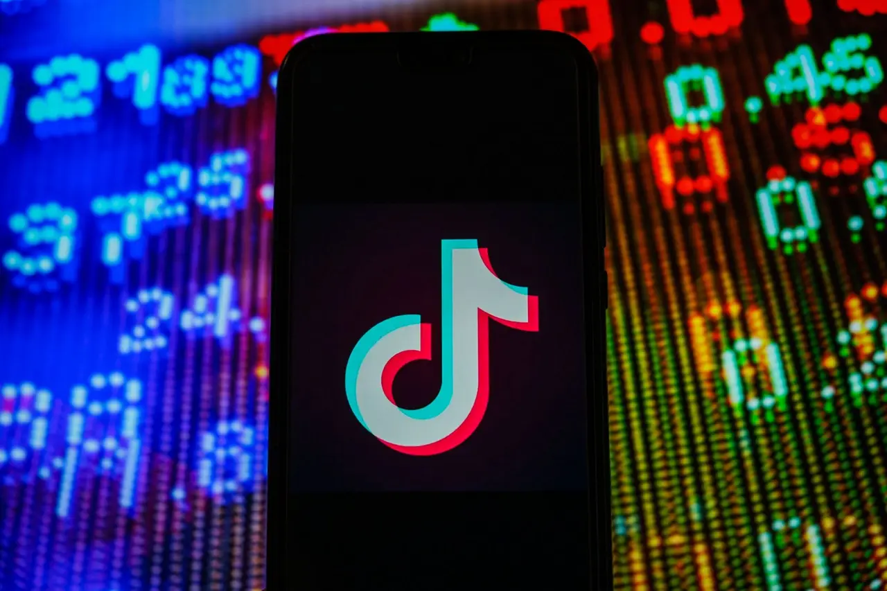 Mandatory Credit: Photo by Omar Marques/SOPA Images/Shutterstock (11683098x)In this photo illustration, a TikTok logo seen displayed on a smartphone with stock market prices in the background.