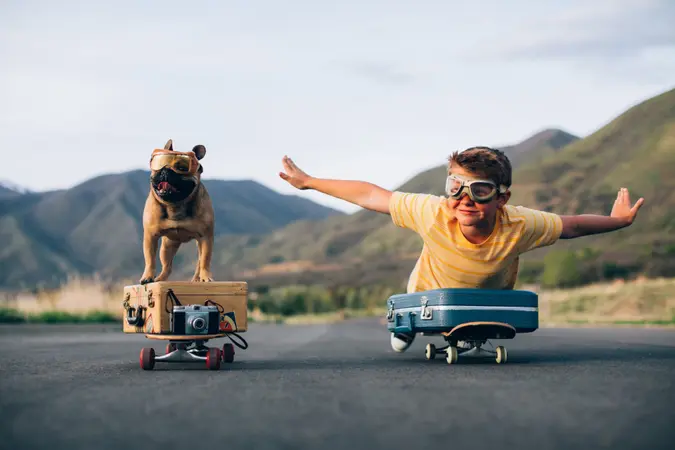 A young boy and his French Bulldog are ready to travel the world.
