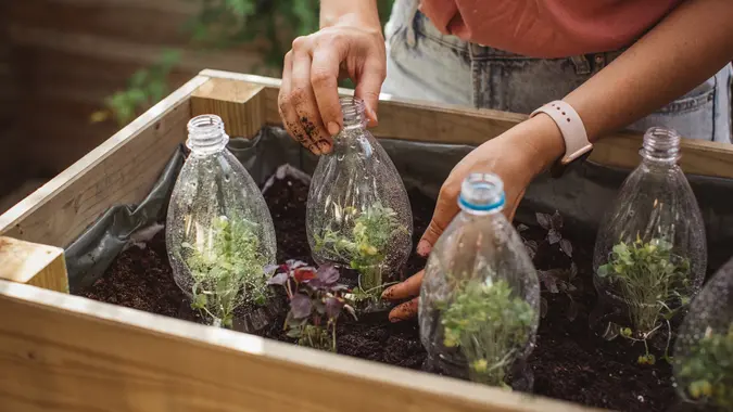 Use old plastic bottles in garden stock photo