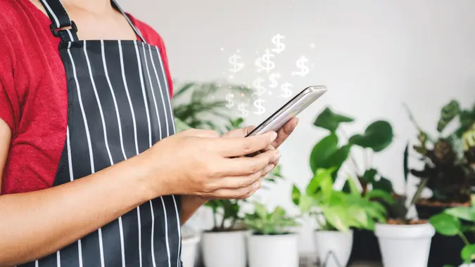 Woman hand shop owner get an order from selling plants, tree online, hand using smart phone to make money from home stock photo