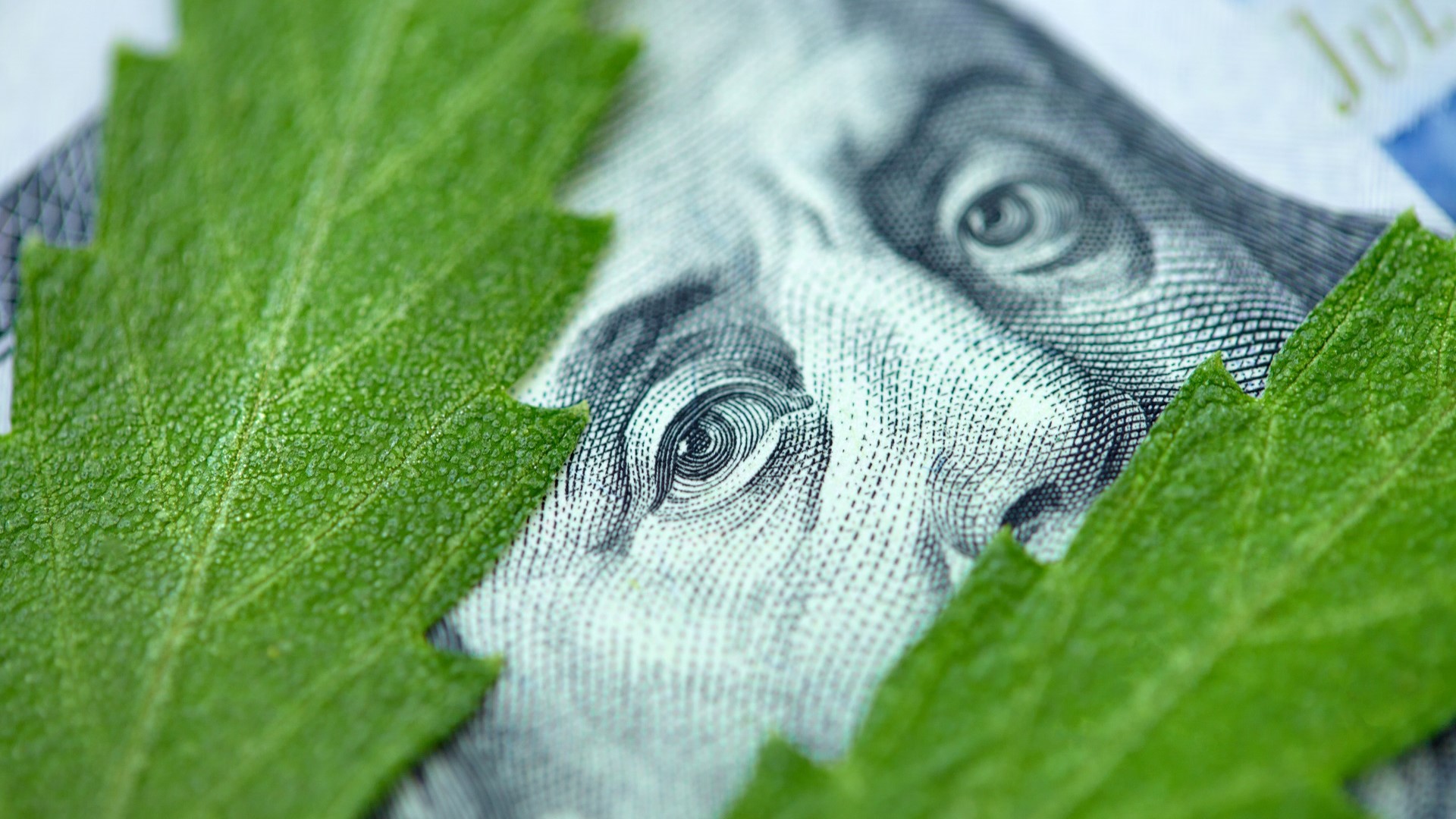 House Approves Marijuana Banking Reform Bill - What It Means for the State of Legal Cannabis