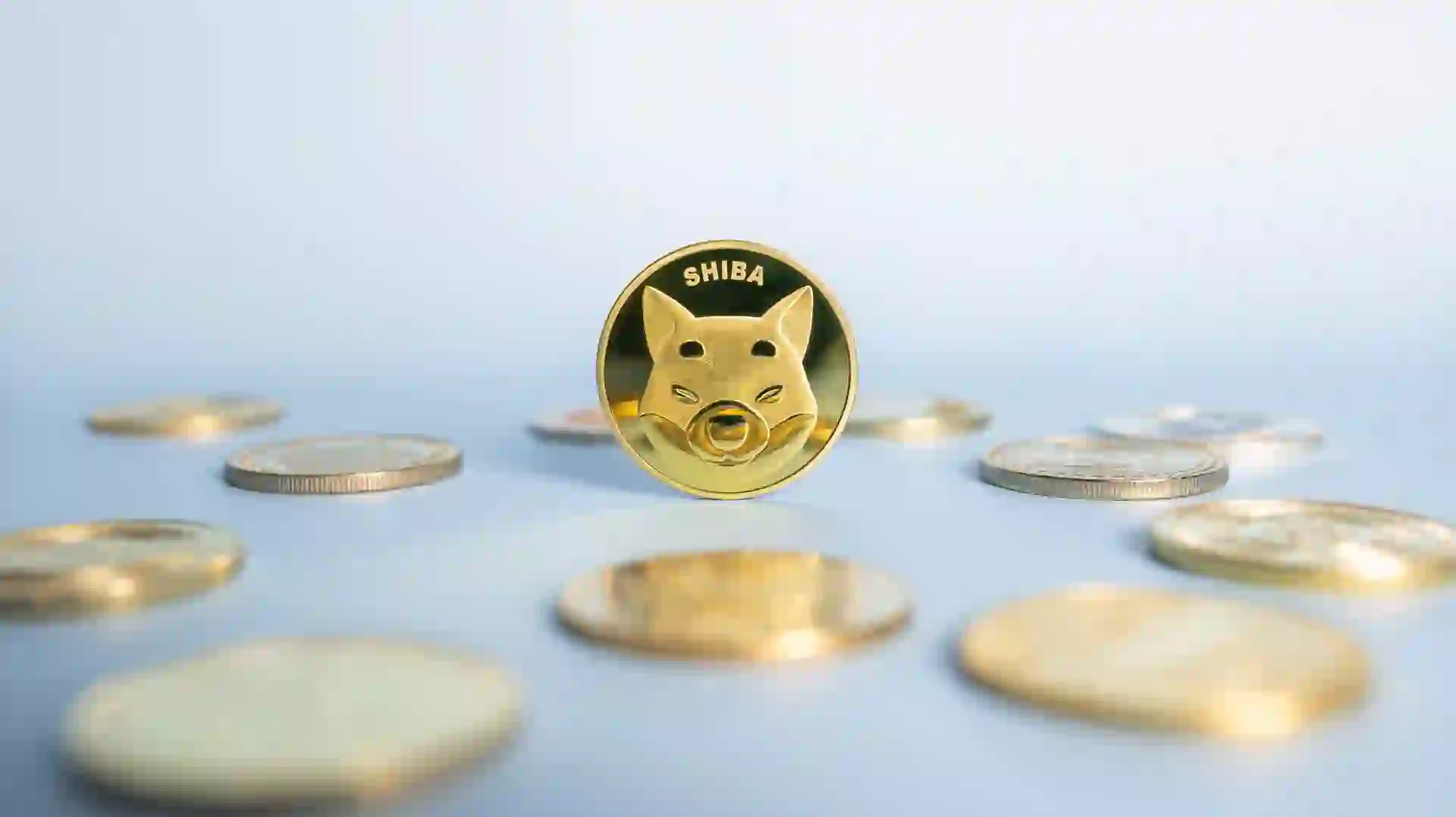 What Is ShibaSwap and How Does It Work?