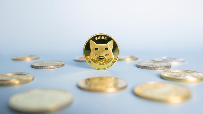 The Shiba Inu or Shib coin stands in the middle of a bunch of crypto coins on a blue background.