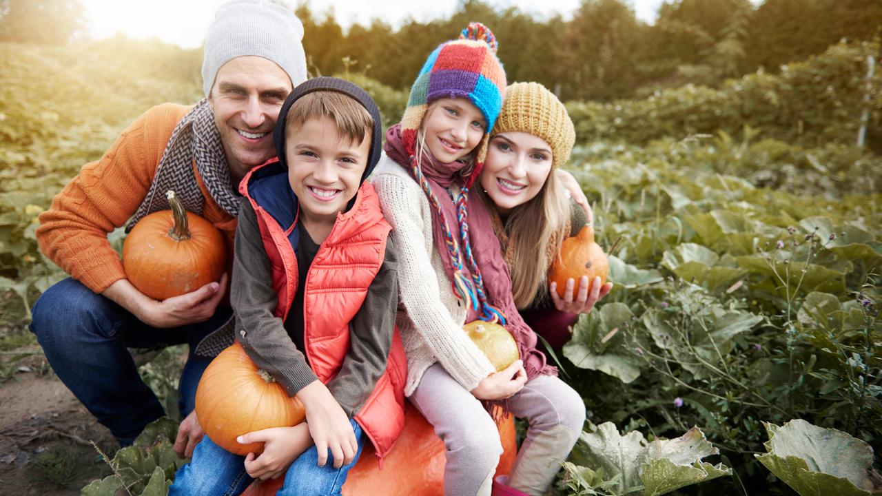 Happy family in the field full of pumpkin.