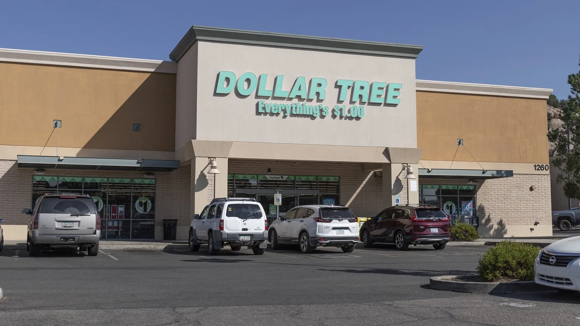 6 Dollar Tree Items You'd Think Were More Expensive