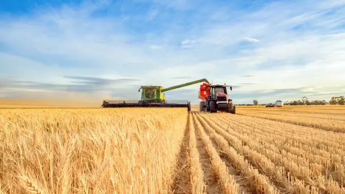 Harvesting machine approaching with the foreground of golden wheat.