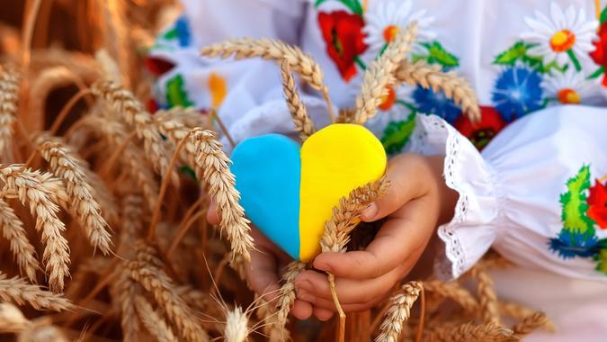 A yellow and blue heart and spikelets of wheat in the hands of a child in an embroidered shirt ( vyshyvanka).