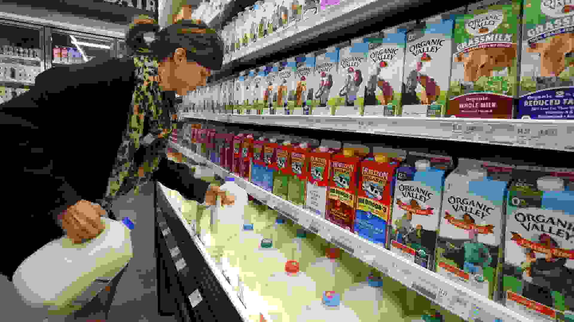 Mandatory Credit: Photo by Brennan Linsley/AP/Shutterstock (6126122a)Reyna DeLoge Grocery and dairy assistant Reyna DeLoge stocks dairy products that only use milk from pasture-raised cows, at Vitamin Cottage Natural Grocers, in Denver.