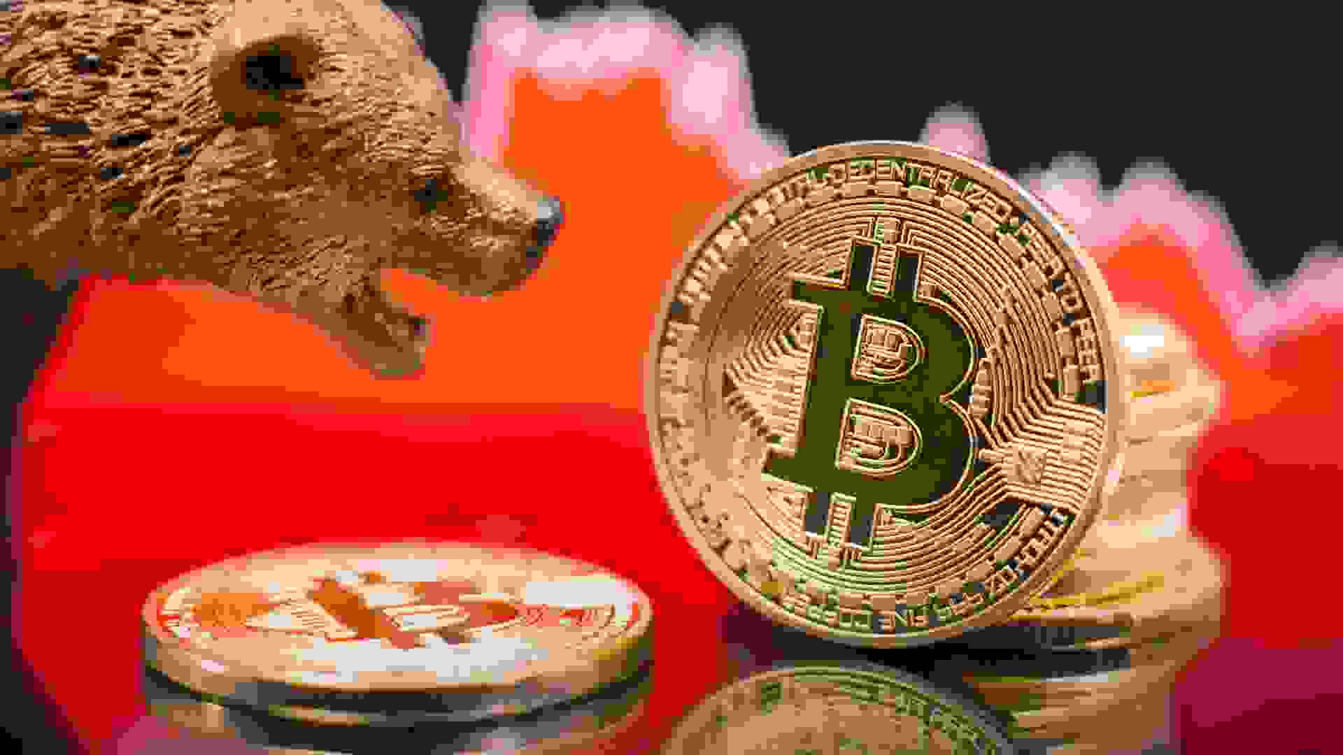 Bitcoin coins in a close-up shot, digital currency price crash concept.