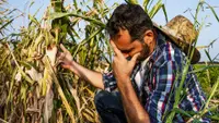 Food Prices and Security Hit by ‘Heatflation’ as Summer Heat Wave Ravages Crops Worldwide