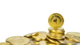 Financial Advisors Reveal the Type of Person Who Should Actually Invest In Cryptocurrency