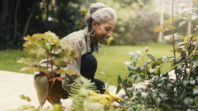 Retired senior woman gardening in back yard stock photo