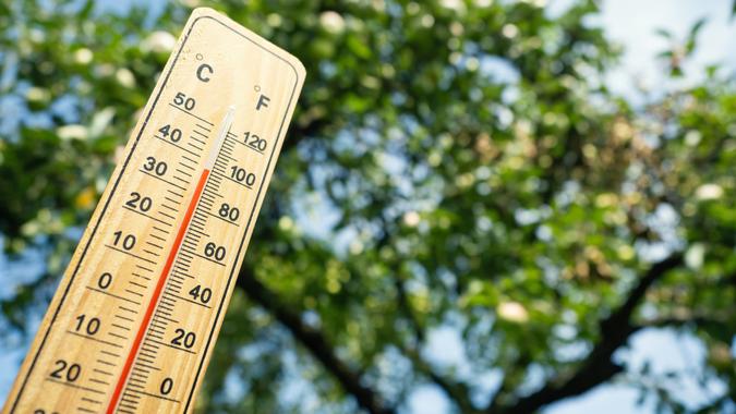 Wooden thermometer with red measuring liquid showing high temperature over 36 degrees Celsius on sunny day on background of apple tree.