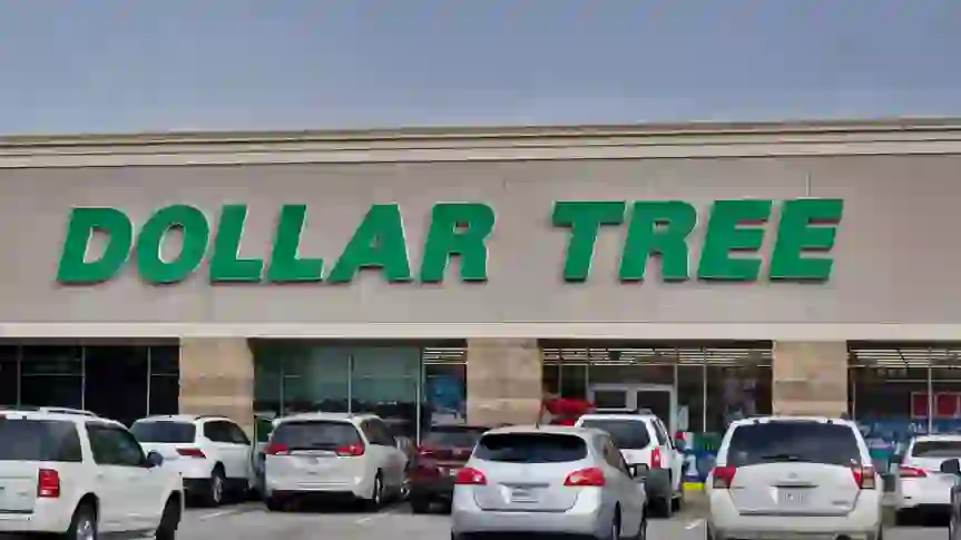 9 Best Dollar Tree Items To Buy Now To Prepare for Winter