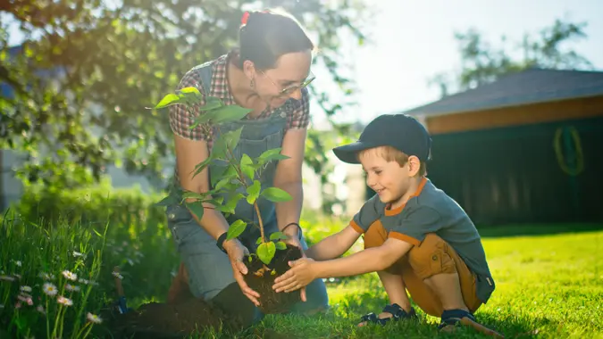 Little boy and his pregnant mother planting in springtime or summer.