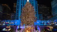 Here’s How Much the Rockefeller Center Christmas Tree Costs
