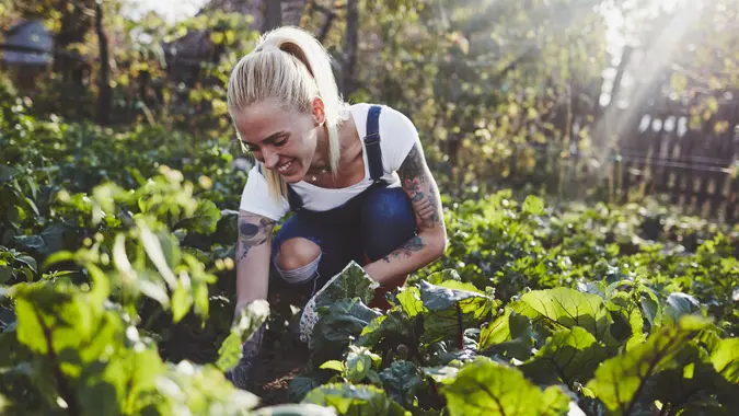Tattooed Woman Farming stock photo