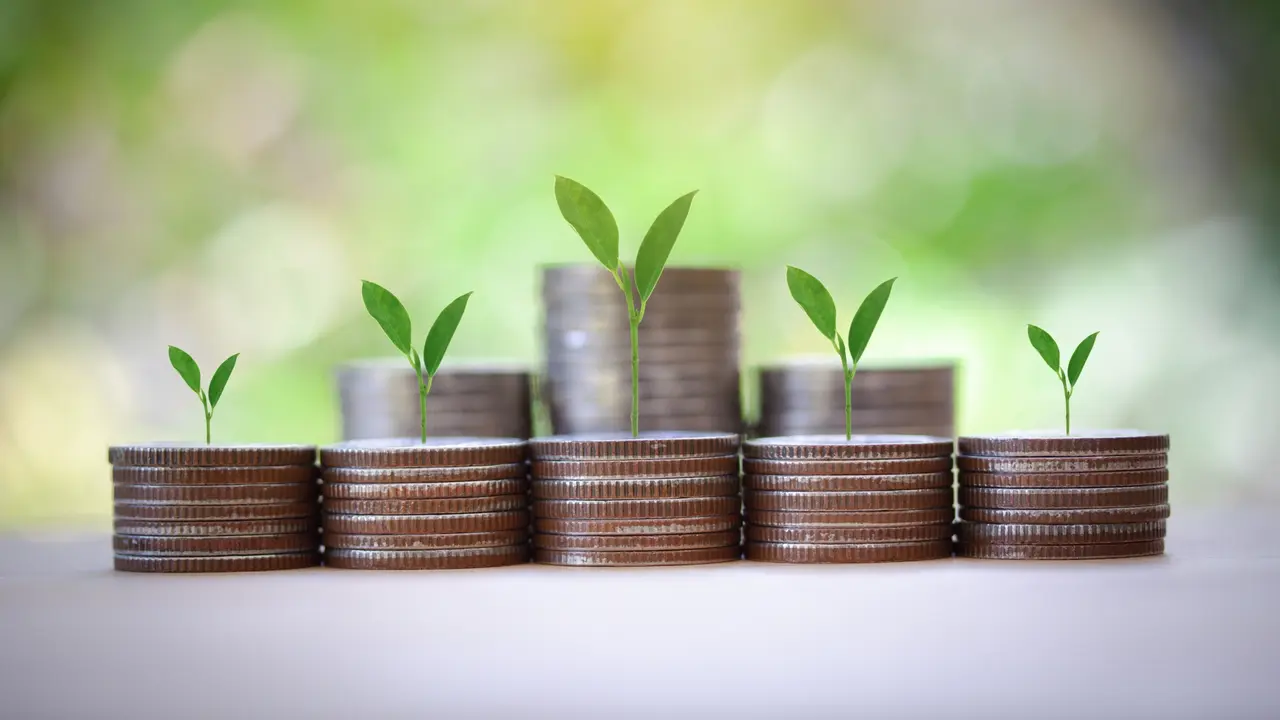 Tree growing on top of coins stack, saving money, investment, passive income, future, step to keep money concept.