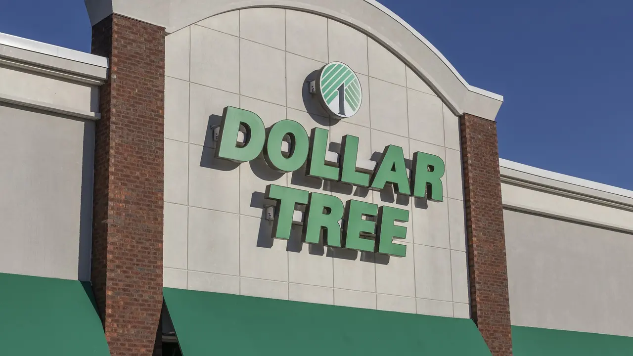 I'm a savings expert and I was able to spend just $15 for 12 items at Dollar  Tree - they lasted me a WEEK in groceries