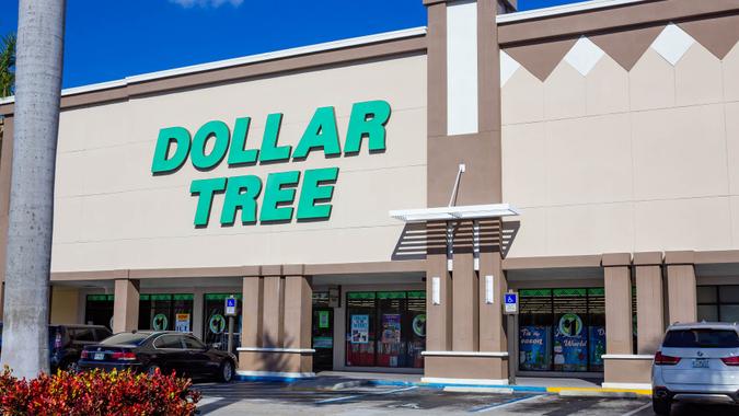 The Single Best Thing To Buy at Dollar Tree This May