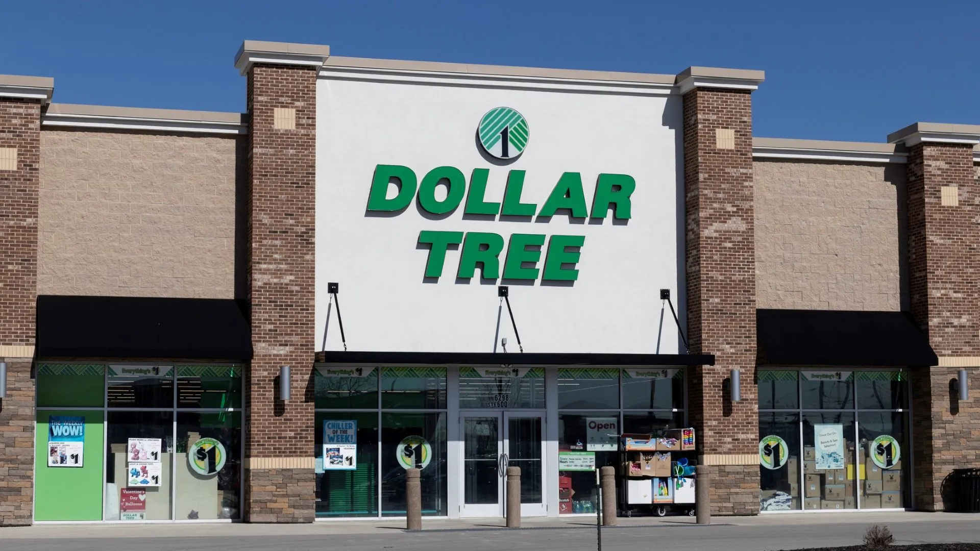 I'm a Dollar Tree super fan - I bought 30 name-brand grocery items for under  $38 and they're full-sized products