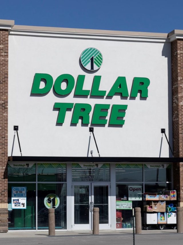 6 Dollar Tree Items You Would Expect To Pay More For GOBankingRates