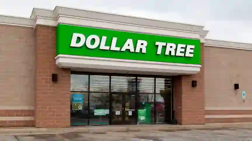 9 Dollar Tree Buys Redditors Swear By To Save Money