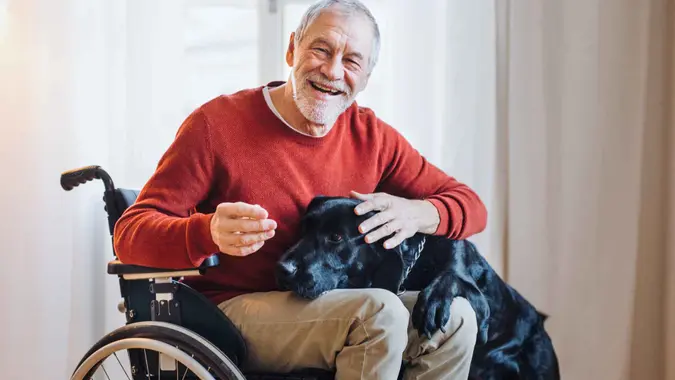 A disabled senior man in wheelchair indoors playing with a pet dog at home.