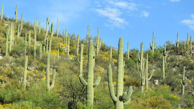 Tanque-Verde-iStock-1481931906 (2)