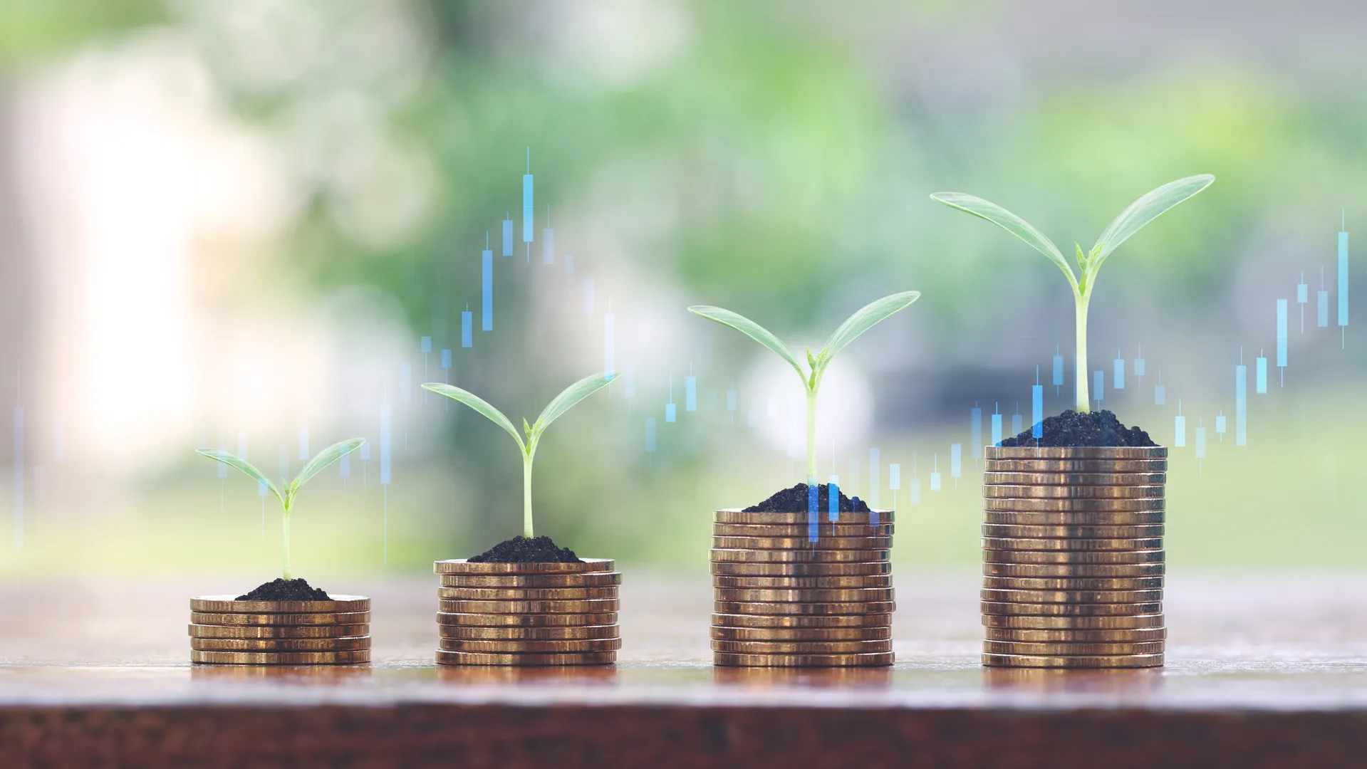 Plants growing out of coin stacks with stock market graph background.