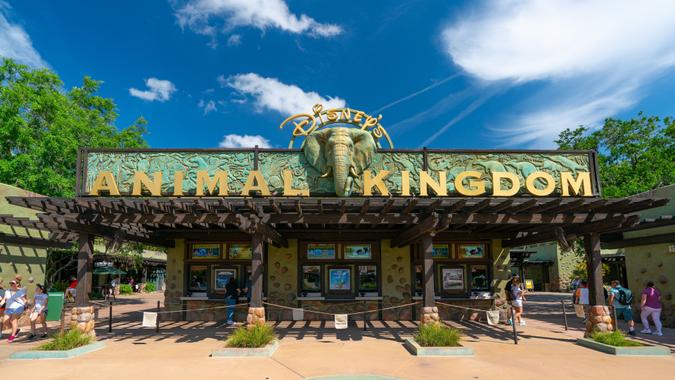 Mandatory Credit: Photo by AaronP/Bauer-Griffin/Shutterstock (12880837o)General views of Animal Kingdom, at the Walt Disney World ResortWalt Disney World Resort, Orlando, Florida, USA - 03 Apr 2022.
