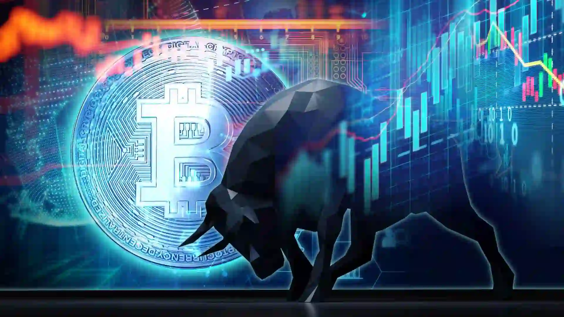 I’m a Crypto Expert: 7 Rules Every Crypto Investor Should Follow
