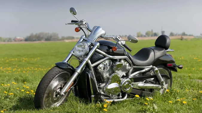 Lisse, The Netherlands - April 20, 2011: Harley Davidson Softaile Deluxe motorcycle in meadow.