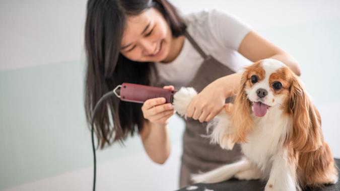 6% of Pet Owners Spent Over $2,000 on Their Pets This Year: 10 Luxury Brands To Pamper Your Pet