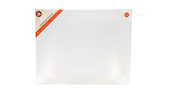 stretched canvas dollar tree