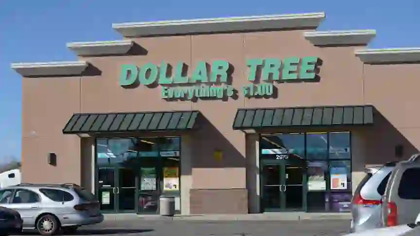 Dollar Tree: 10 Best New Arrivals For Your Money in May