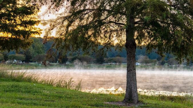 Pooler, Georgia town near Savannah with morning sunrise sunlight landscape view at a lake pond with tree in foreground rising mist fog from water vapor on cold night and nobody.