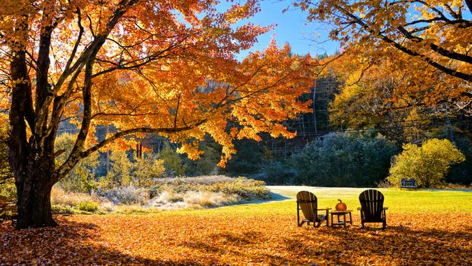 Beautiful vibrant maple tree during autumn with wooden resting chairs and fallen leaves.