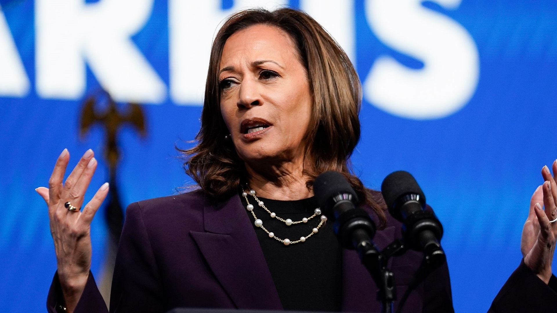 5 things you shouldn’t waste money on if Kamala Harris wins in November, according to experts