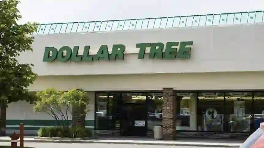 I’m a Dollar Tree Superfan: Here are the 8 Things I’m Stocking Up On Before Winter